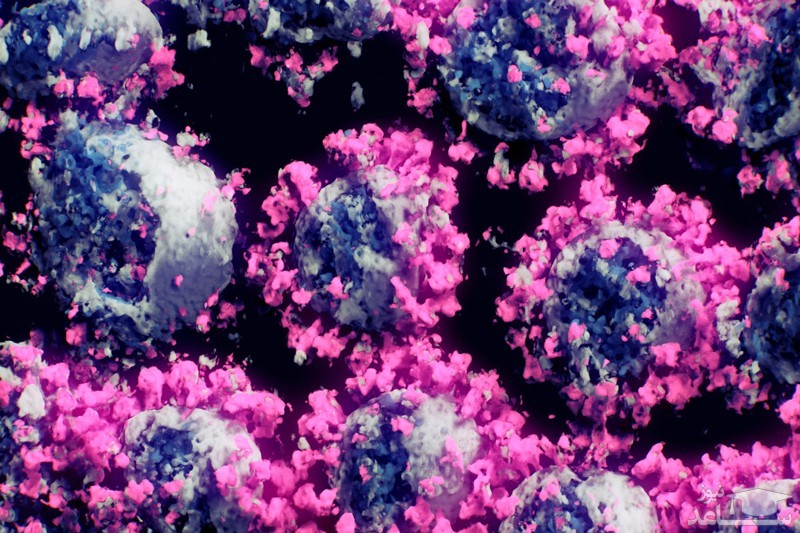 ورود کرونای انگلیسی به استان بوشهر با شناسایی ۵ مورد جدید