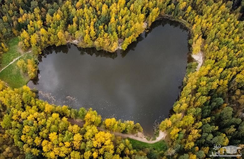 دریاچه ای به شکل قلب در منطقه "بالاشیخا" در حومه شهر مسکو روسیه/ رویترز