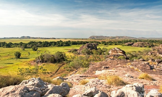 پارک ملی آریکوک