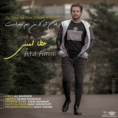 دانلود آهنگ اون شد که من دلم میخواست از عطا امینی