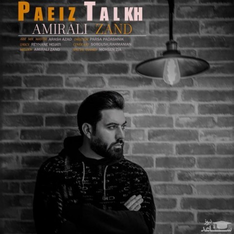 دانلود آهنگ پاییز تلخ از امیرعلی زند