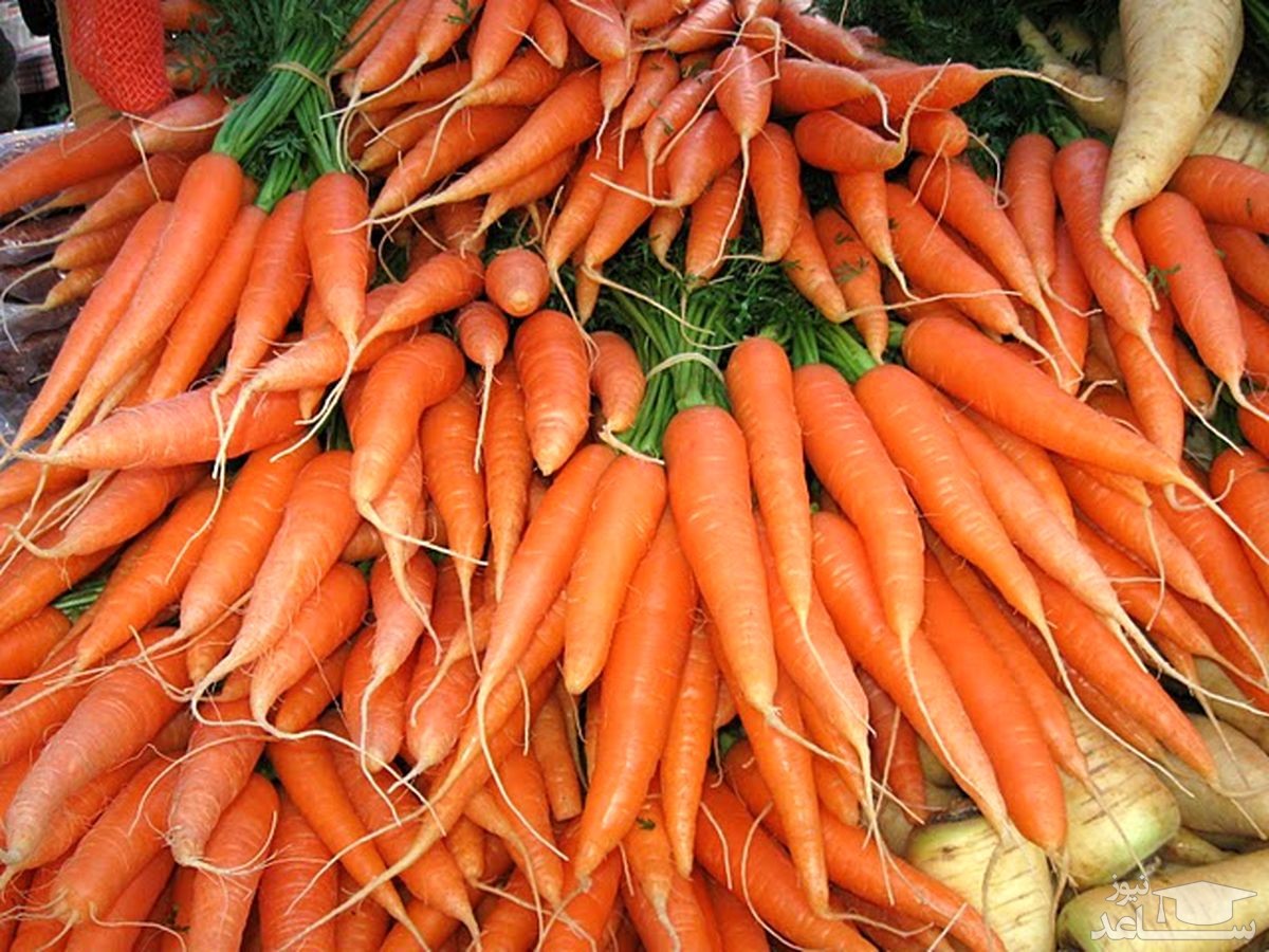 توزیع هویج زیر ۱۰ هزار تومان تا هفته آینده