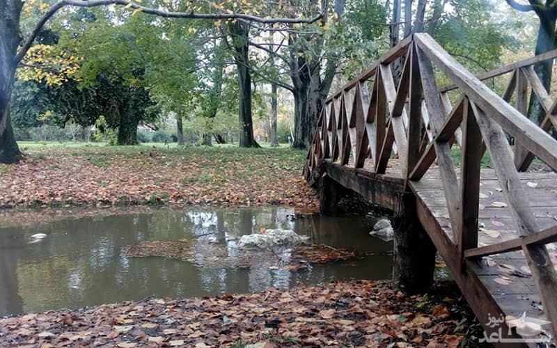 باغ گیاه‌ شناسی نوشهر