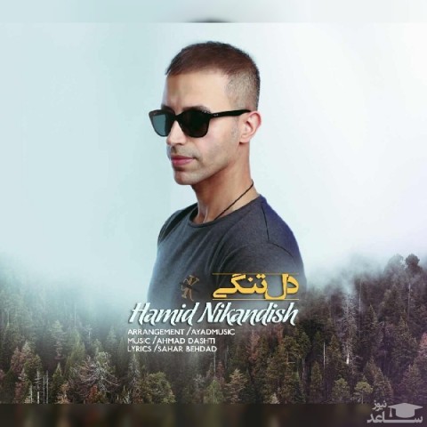 دانلود آهنگ دلتنگی از حمید نیک اندیش