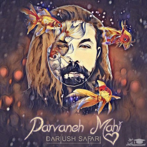 دانلود آهنگ پروانه ماهی از داریوش صفری