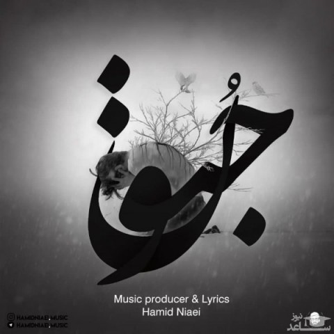 دانلود آهنگ جنون از حمید نیایی