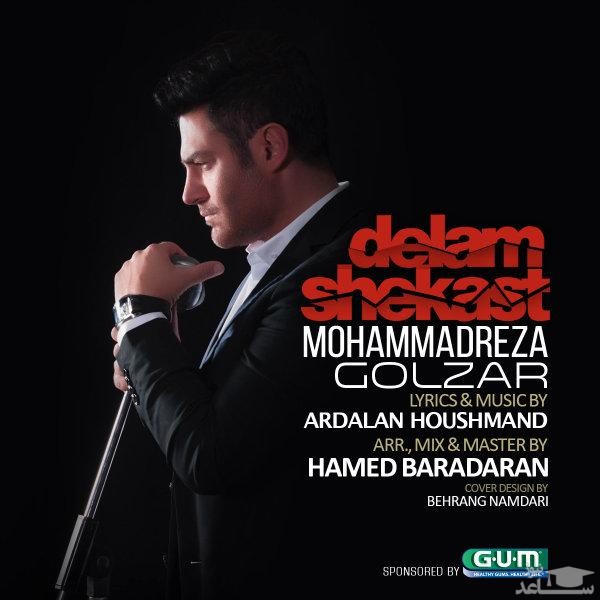 دانلود آهنگ دلم شکست از محمدرضا گلزار