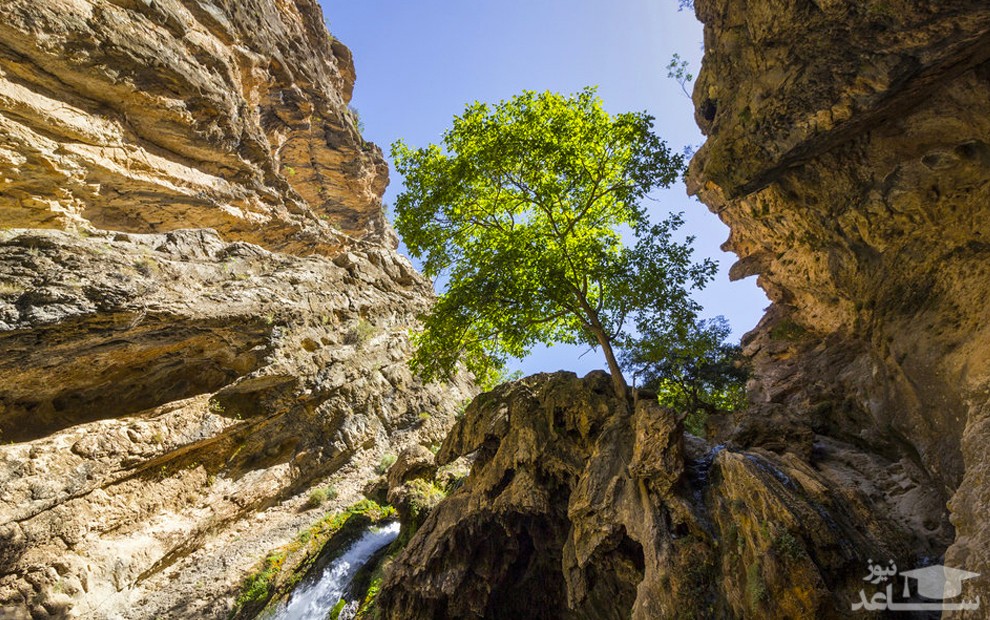 امروز به روایت تصویر