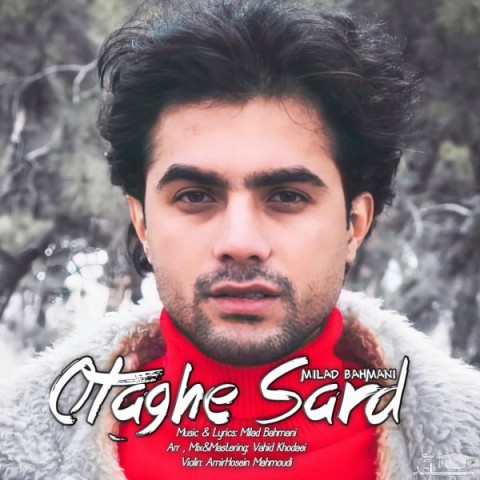 دانلود آهنگ اتاق سرد از میلاد بهمنی