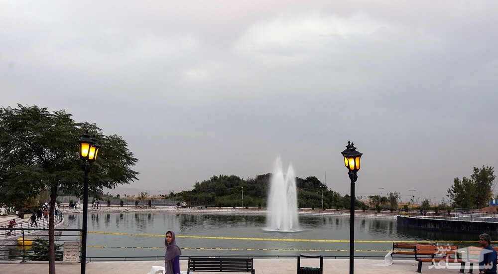 تصویر