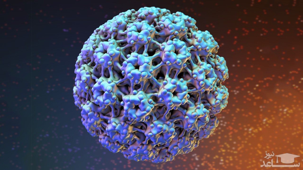 علائم و نشانه های عفونت HPV در زنان
