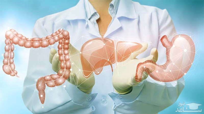 تقویت دستگاه گوارش