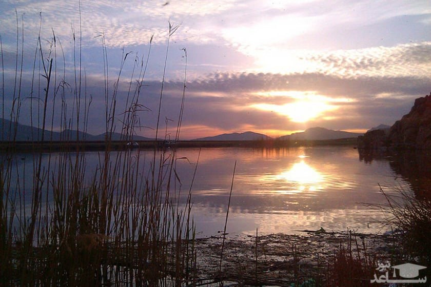 آشنایی با جاذبه های تالاب هشیلان کرمانشاه