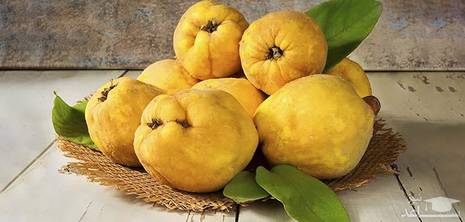 فواید مصرف به در دوران بارداری