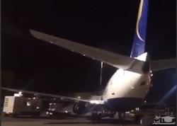 (فیلم) ورود یک موش به رمپ فرودگاه مشهد، پرواز را مختل کرد