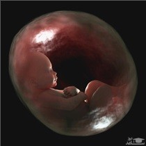 برنامه ریزی و چکاپ های پزشکی قبل از بارداری