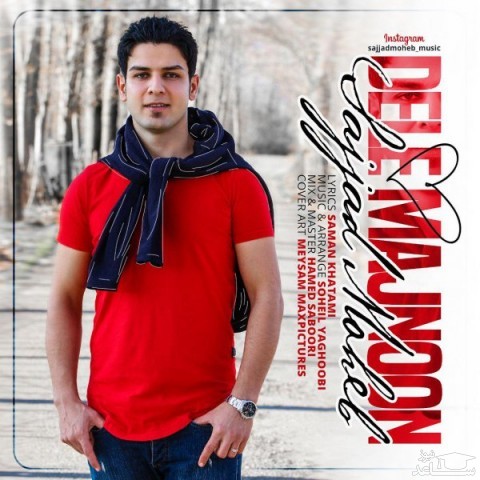 دانلود آهنگ دل مجنون از سجاد محب