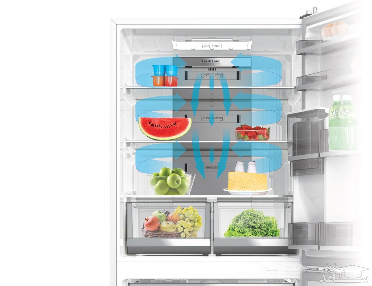 یخچال و فریزر بالا پایین دوو مدل D2BF-0291LW