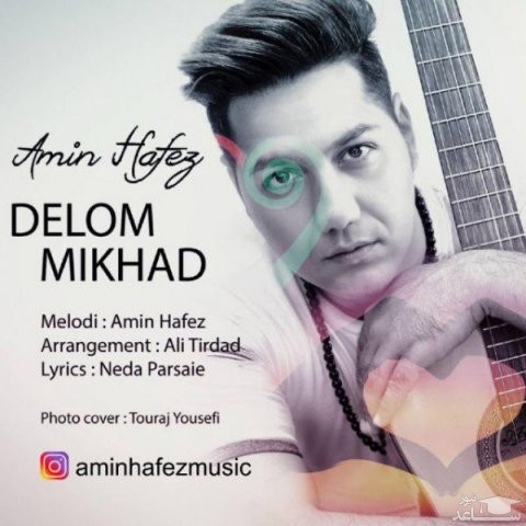دانلود آهنگ دلم میخواد از امین حافظ