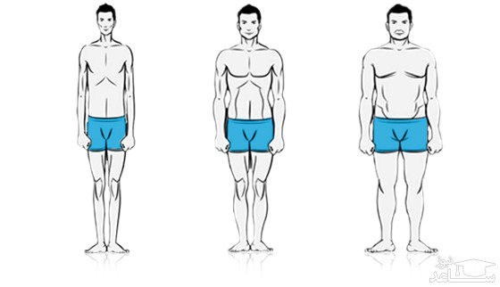 شخصیت شناسی از روی ساختار جسمانی و هیکل بدن