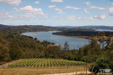 دره تامار (Tamar Valley)