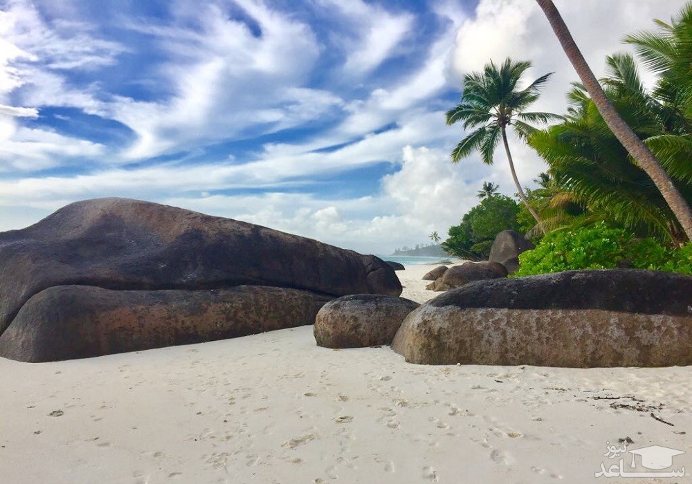 جزیره سیلوئت