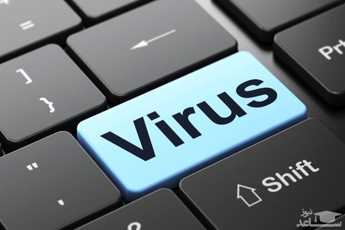 ویروس های کامپیوتری را چقدر میشناسید؟