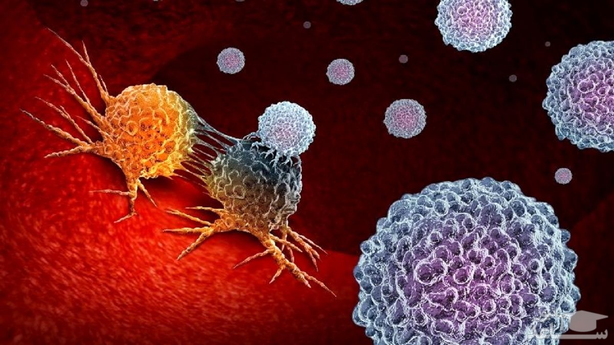 سلول های سزطانی