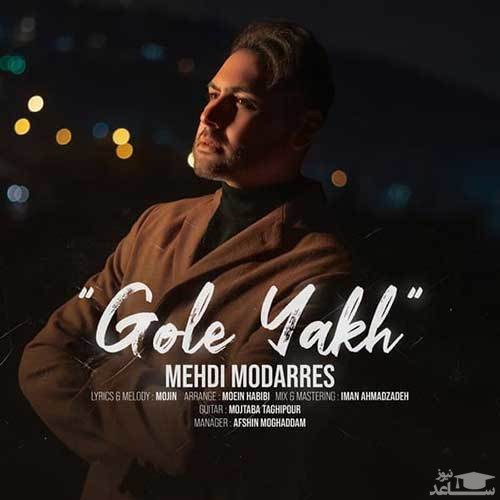 دانلود آهنگ گل یخ از مهدی مدرس