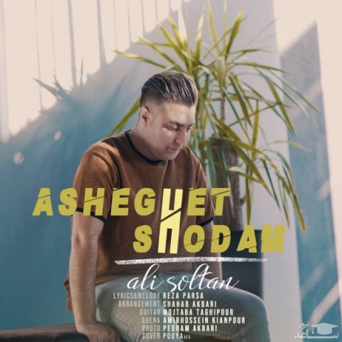 دانلود آهنگ عاشقت شدم از علی سلطان