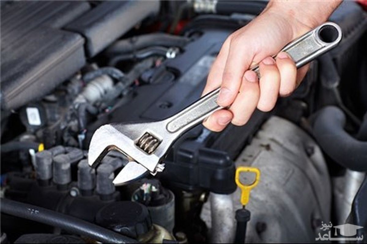 (فیلم) جاساز کردن گردو در کاپوت ماشین توسط یک موش!