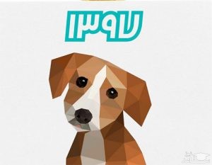 ترین‌های اقتصادی سال 97 / جمله قصار سال از آن کیست؟