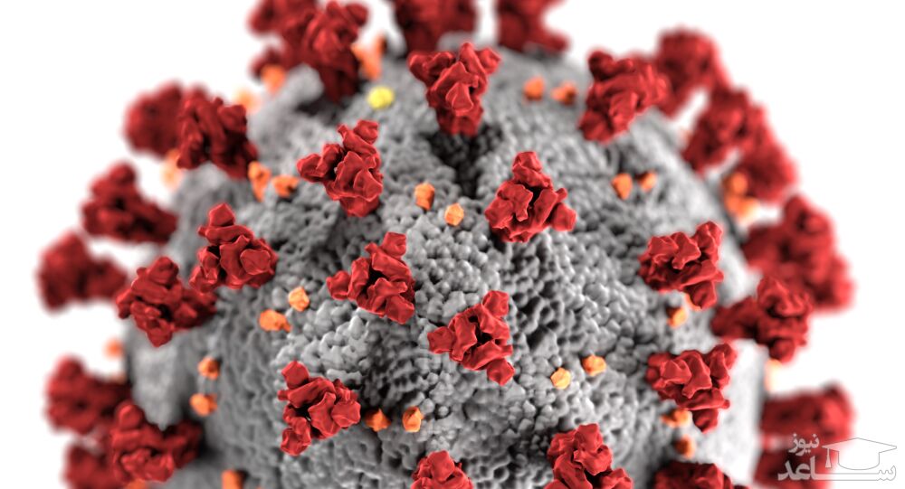 فقط "۵ گرم ویروس کرونا" جهان را تعطیل کرد