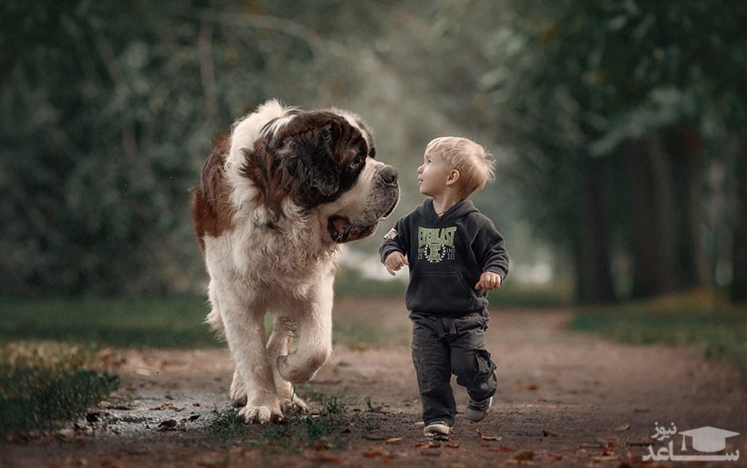 رابطه سگ و کودک