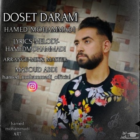 دانلود آهنگ دوست دارم از حامد محمدی
