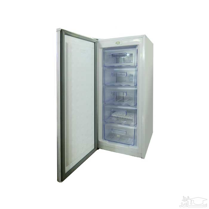 فریزر الکترواستیل مدل ESF10