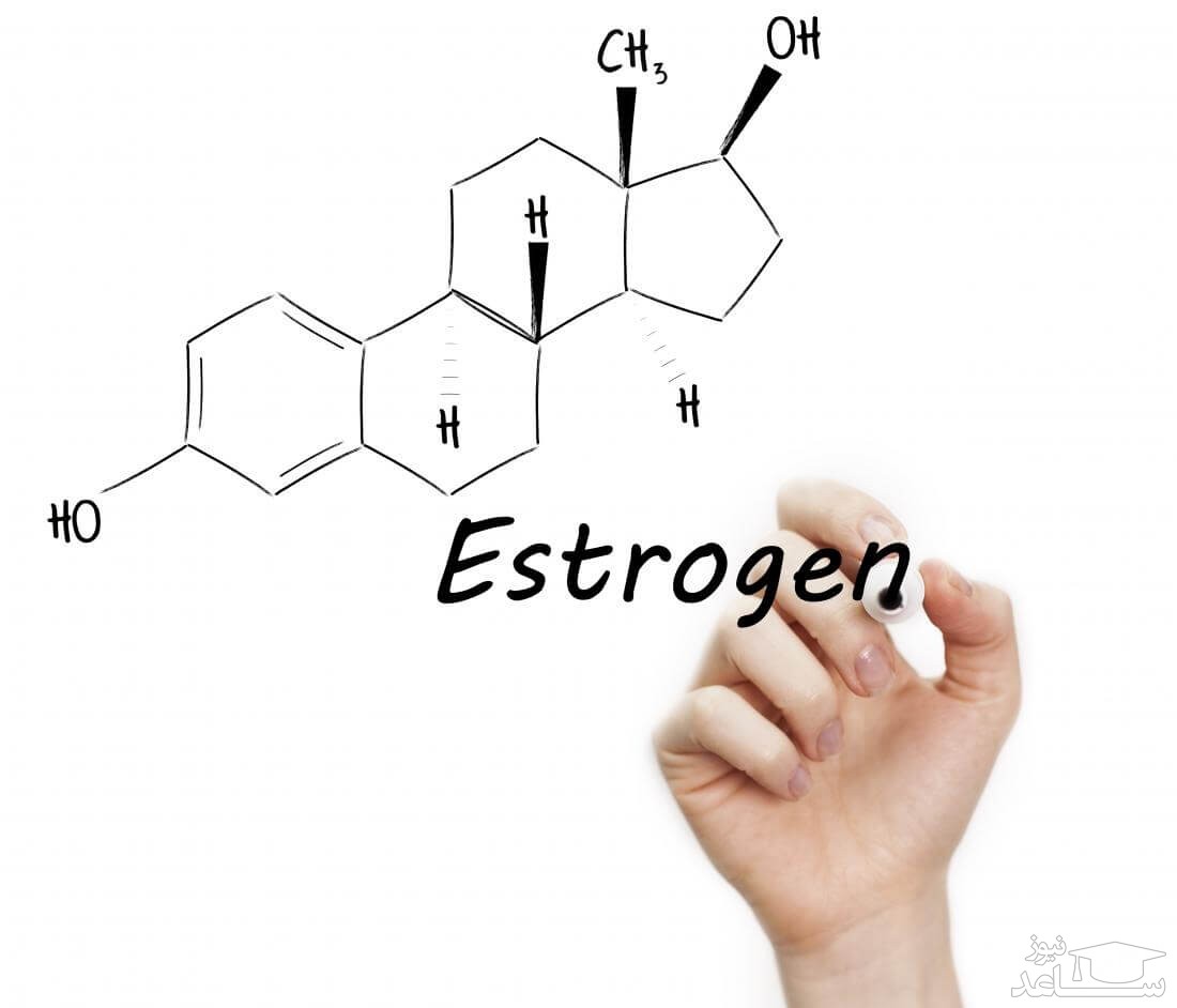 استروژن در چه غذاهایی وجود دارد؟ و علایم کمبود استروژن در بدن