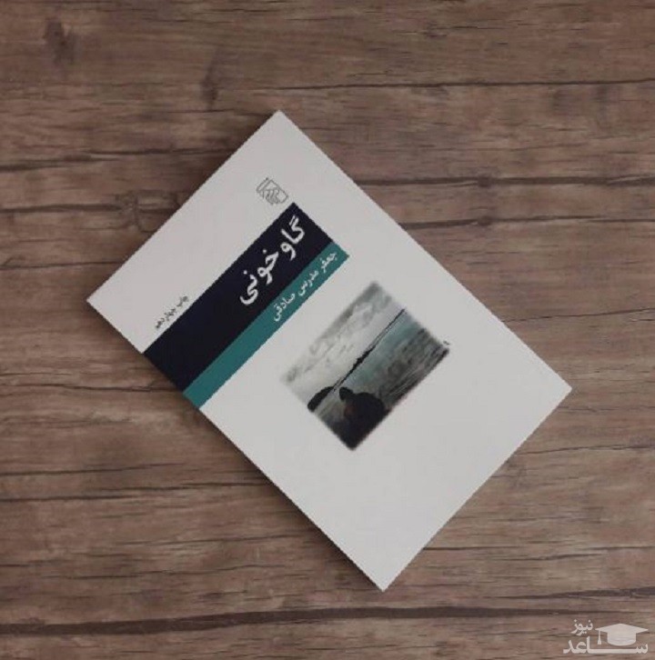 معرفی رمان گاو خونی