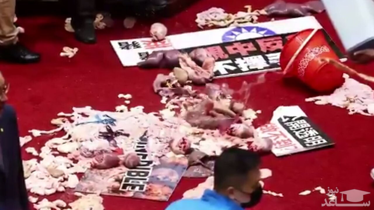 (فیلم) کتک کاری با دل و روده خوک در پارلمان تایوان