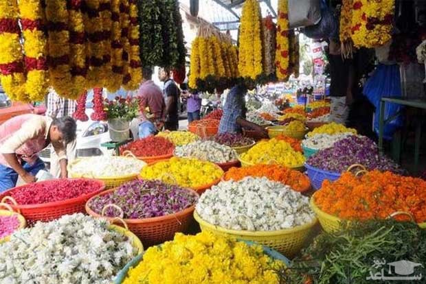 بازار کریشنا راجندرا