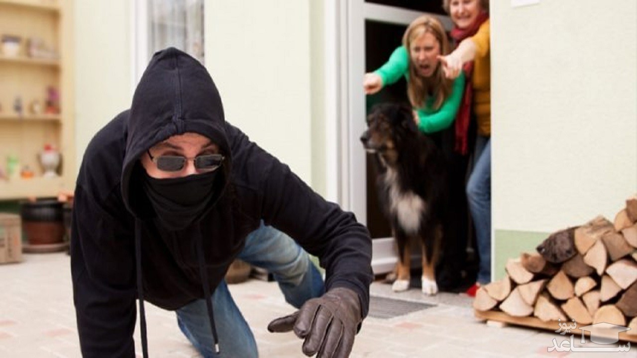 پوستر فراری دادن دزد از منزل