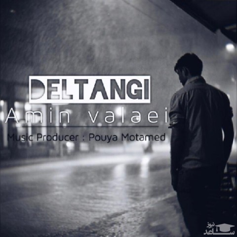 دانلود آهنگ دلتنگی از امین والایی
