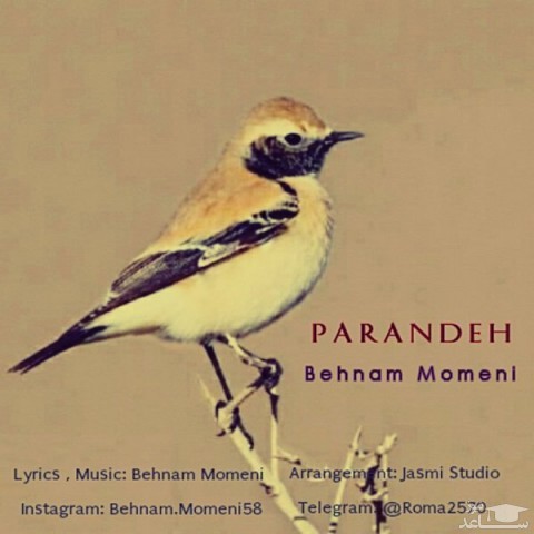 دانلود آهنگ پرنده از بهنام مومنی