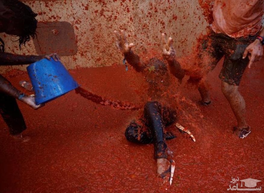 جشنواره جنگ با گوجه