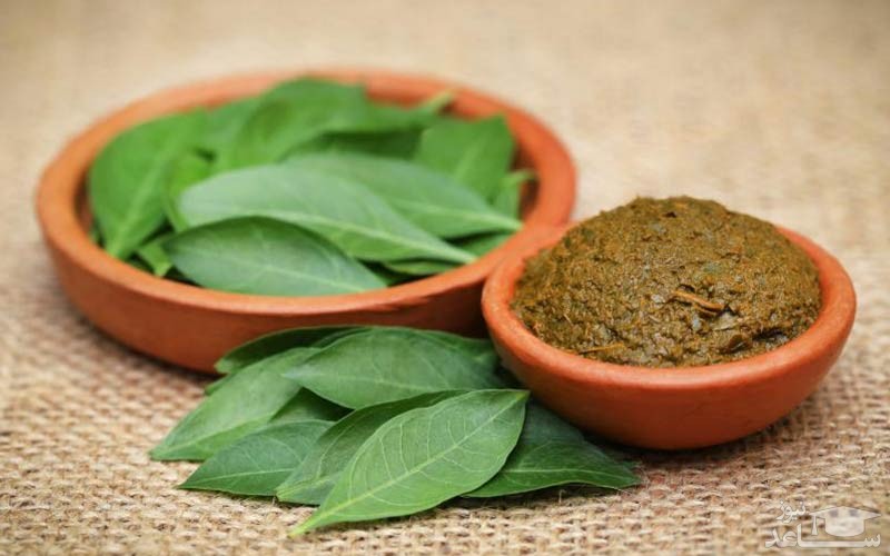 برگها و پودر حنا