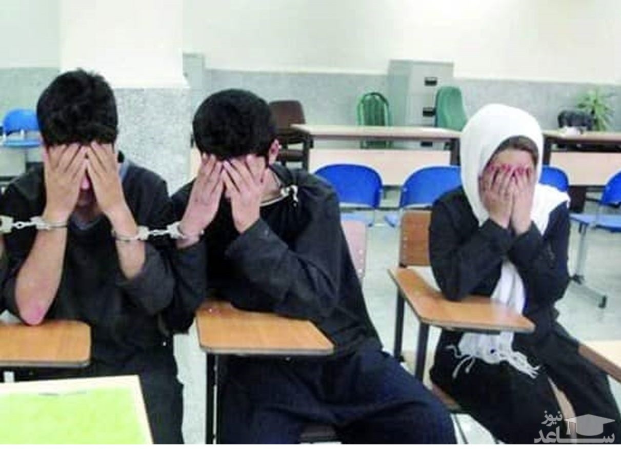 نازنین شب تا صبح را در دامداری سر می کرد / راز یک سرقت فاش کرد