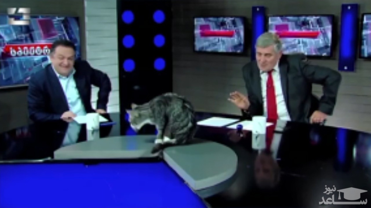 (فیلم) ورود مهمانی ناخوانده به یک برنامه زنده تلویزیونی