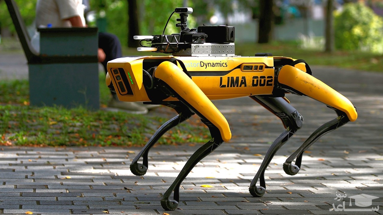 (فیلم) استفاده از ربات سگ نما در شهرهای کرونا زده چین