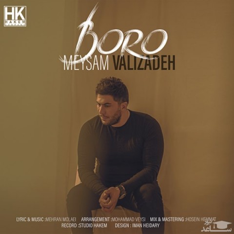 دانلود آهنگ برو از میثم ولی زاده