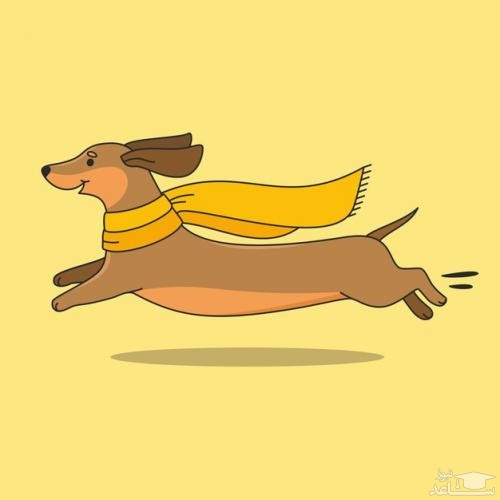 دانلود آهنگ پارس سگ Dachshund از افکت صوتی انسان و موجودات زنده